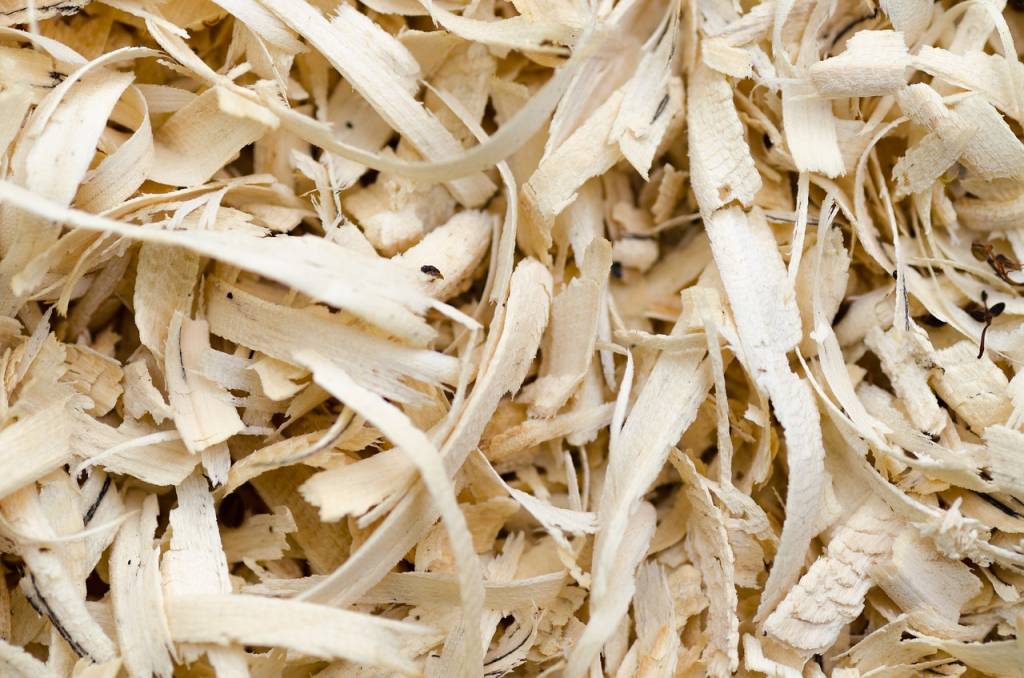 Wood shavings